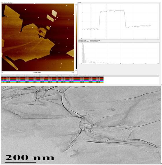 710公海-迎接您来到公海