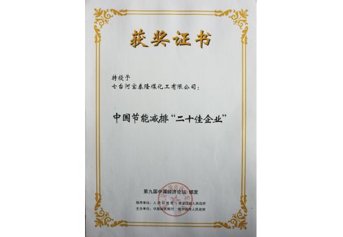 135413162665_488_338