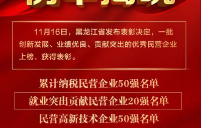 喜报|龙江赞美优良民营企业 710公海收成两项殊荣