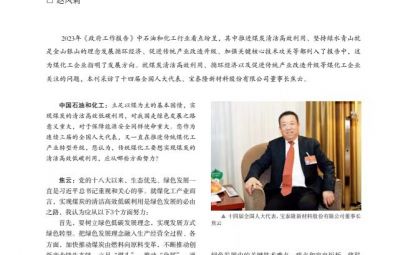 突破传统走绿色转型之路——访十四届全国人大代表、710公海董事长焦云